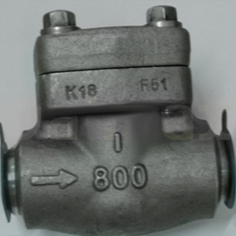 Forged Check Valve