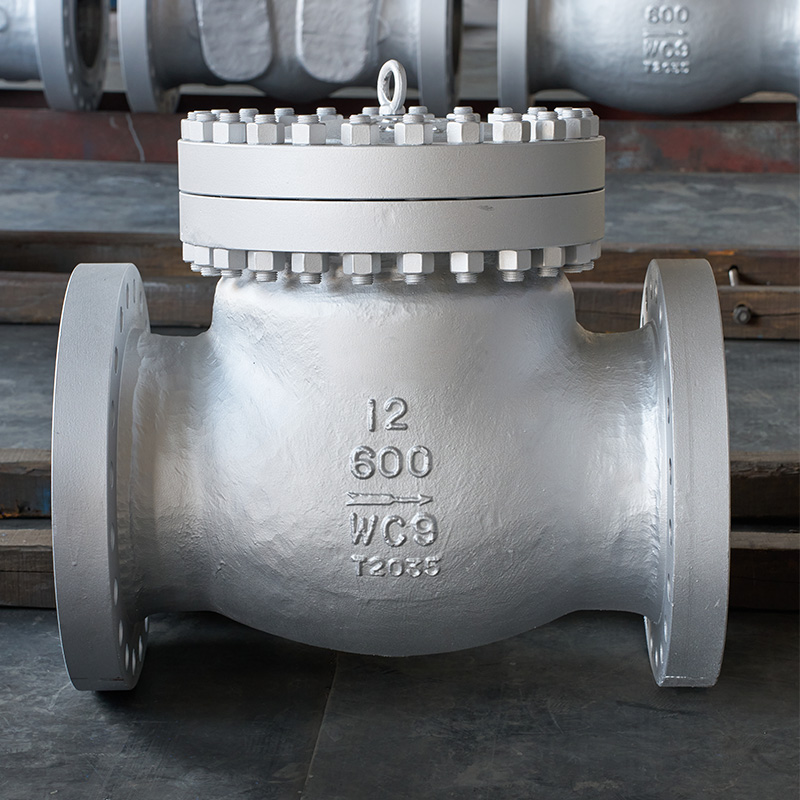 Cast Check Valve