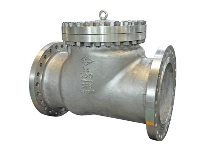 Cast Check Valve