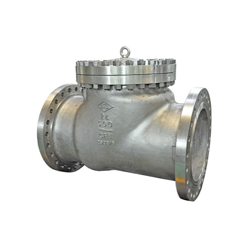 Cast Check Valve