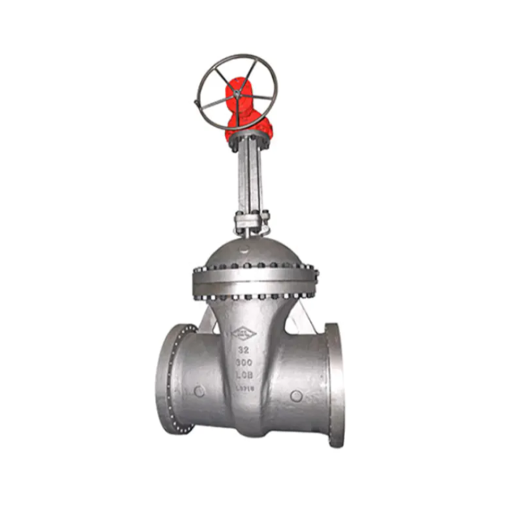Custom Cast Steel Valves vs Standard Valves: What's the Real Difference